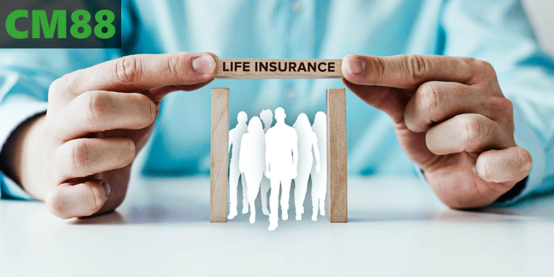 Điều khoản và chiến lược phát triển bền vững cộng đồng